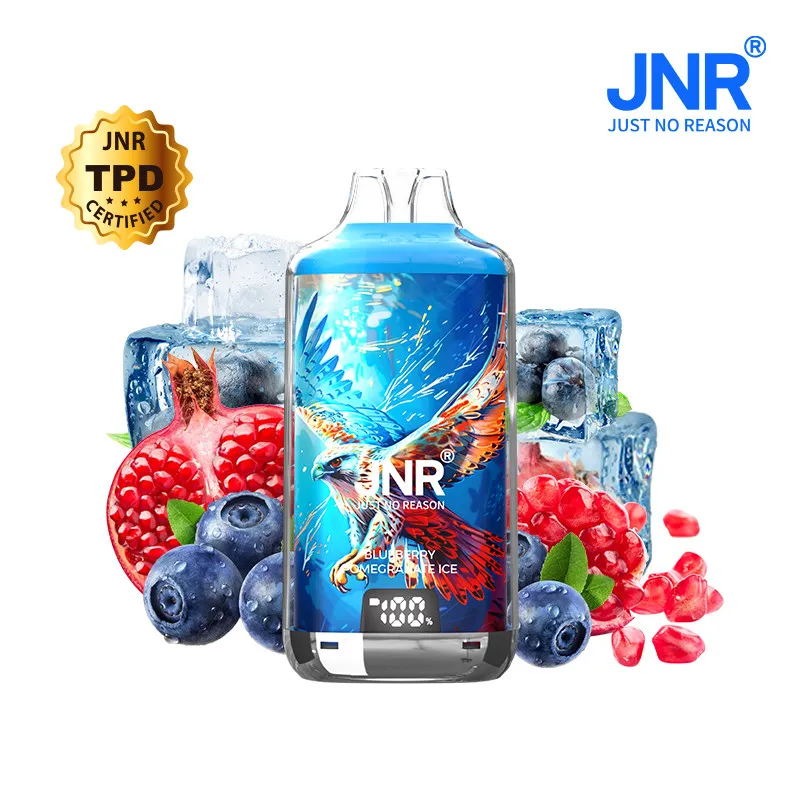 blueberry-pomegranate-ice-28000-puffs-falcon-x-jnr.webp